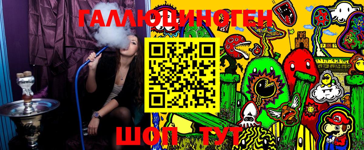Псилоцибиновые грибы Psilocybe Карачаевск