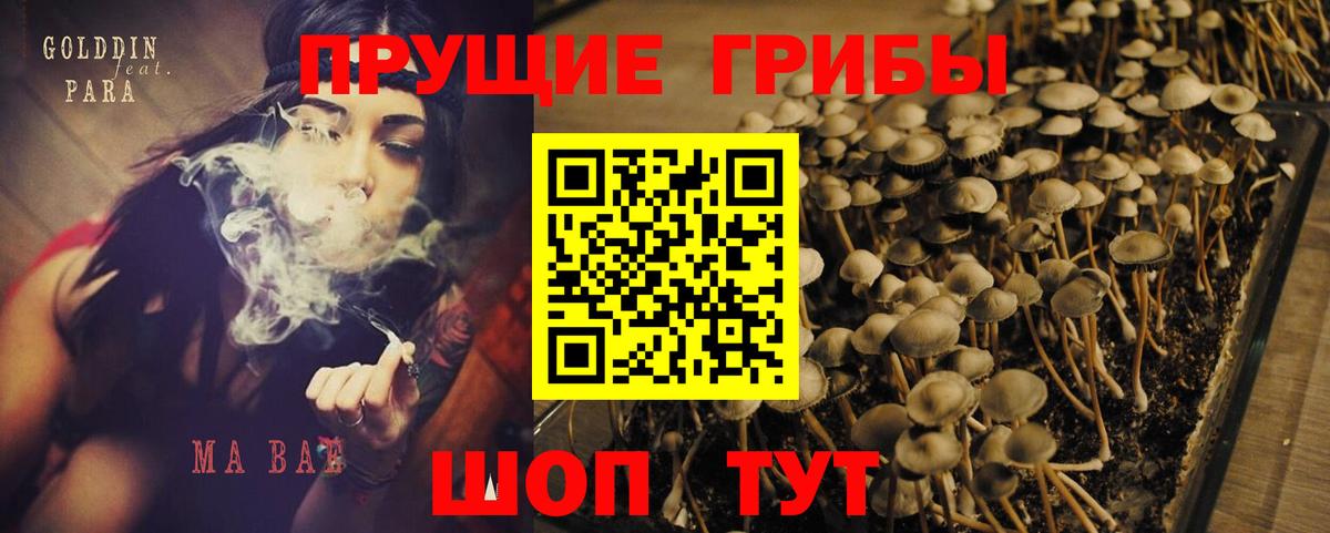 Карачаевск  ГАШИШ  Амфетамин   Конопля  Вход с VPN  А ПВП СОЛЬ   МЕФ кристаллы  ГАШИШ  Кокаин  Конопля 