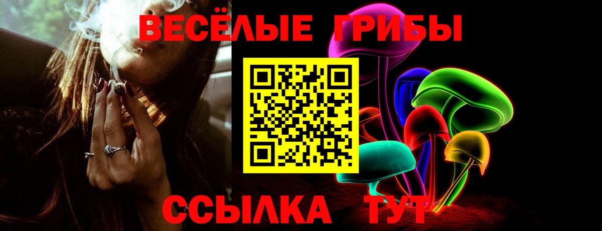 Псилоцибиновые грибы мухоморы  Вход с VPN  Карачаевск  Псилоцибиновые грибы прущие грибы 